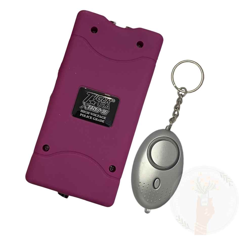 Stun Gun/Personal Alarm Bundle